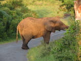 safrica/IMG_0472 (WinCE).JPG